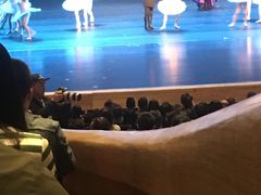 -哈尔滨大剧院