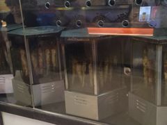 -一代烤翅王(大汉口店)