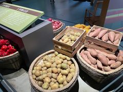 -中国天府农业博览园