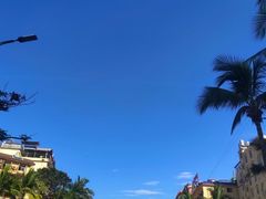 -曼阁市场水果批发市场