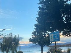 -野菌皇海景野生菌火锅(滨海大道店)