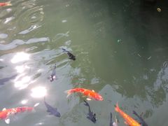 -千滋百味·醉江澜花园餐厅(街道口店)