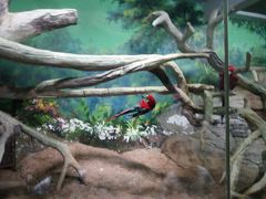 -福州罗源湾海洋世界旅游区