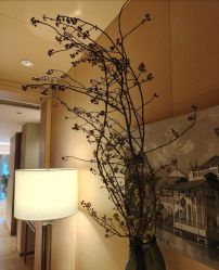 -圣贝拉母婴护理中心(广州瑰丽店)