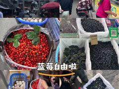-南门绿玉农贸市场