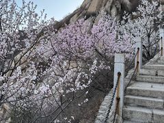 -北京凤凰岭
