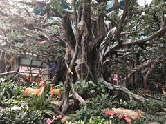 -碧桂园总部大楼