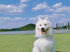 -上海月湖雕塑公园