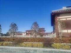 -洛阳古墓博物馆