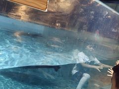 -萌宠奇缘(荣鼎店)