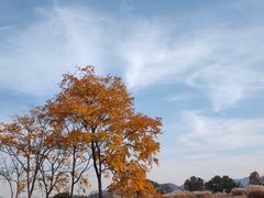 -良渚古城遗址公园