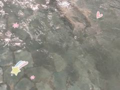 -南宫温泉水世界