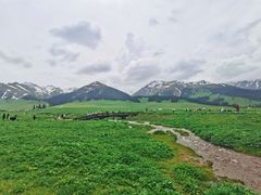 -新疆那拉提国家旅游度假区