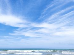 -日照海滨国家森林公园