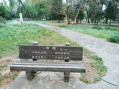 -北京麋鹿生态实验中心