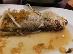 -宝燕壹号(徐汇店)