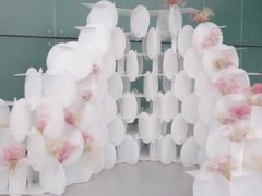 -重庆市江北嘴中央商务区中央公园