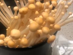 -海底捞火锅(奥森店)