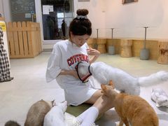 -Heymao猫咖.咖啡厅(东门店)