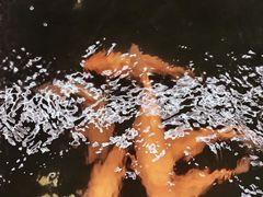 -杭州西湖风景名胜区-满觉陇四眼井