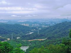 -黄埔油麻山森林公园