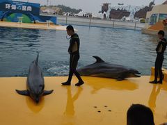 -秦皇岛乐岛海洋王国