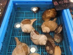 -飞尝蚝·顺德菜·鱼生(顺德总店)