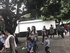 -逍遥谷景区