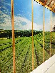 -悦诗风吟innisfree