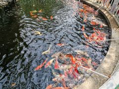 -杨柳青庄园