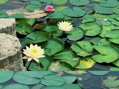 -国家植物园南园