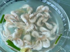 -湖山人家·湖景餐厅·特色农家菜(太湖西山店)