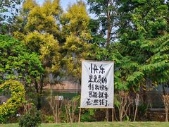 -丹樱生态园