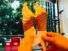 -三鹰之森吉卜力美术馆