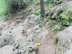 -黔灵山公园