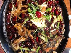 -老板恋上鱼(高新万达店)