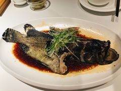 -人杰鱼乐轩(珠江路店)