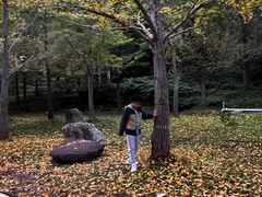 -千年银杏谷文化旅游区