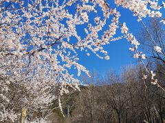 -北京十三陵国家森林公园蟒山景区