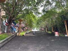 -三峡梯城