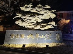 -北京九华山庄会展酒店