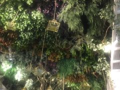 -潮粥荟·潮汕砂锅粥(朝阳大悦城店)