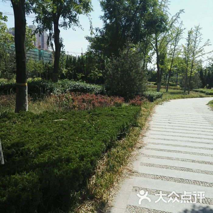 巨力公园图片 - 第8张