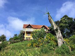-黄色小屋