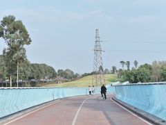 -白鹭湾湿地公园