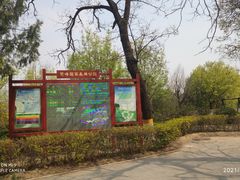 -北京鹫峰国家森林公园