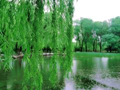 -玲珑塔公园