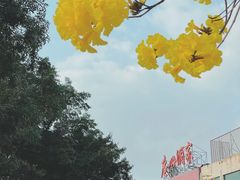 -洲头咀公园