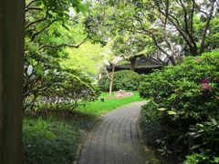 -红梅公园