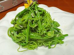 山胡椒油丝瓜尖-京味张·北京烤鸭(南山店)